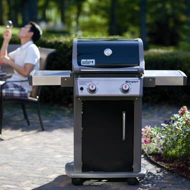 Weber e 210 genesis sale